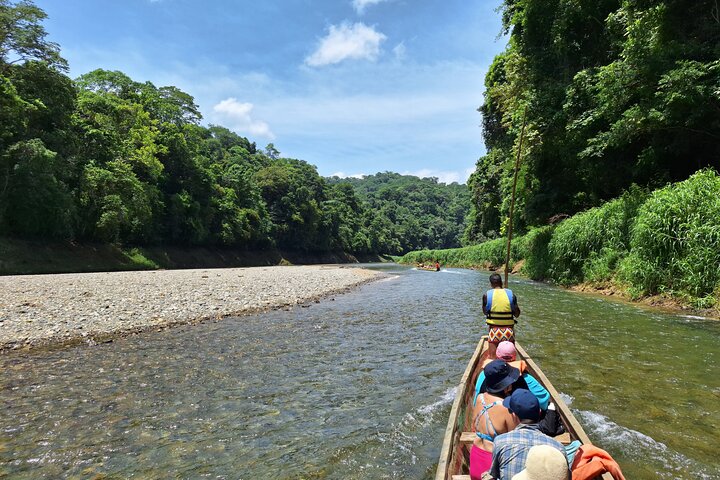 Panama Canal Tour - Wildlife Boat Tour & Walk in the Rainforest