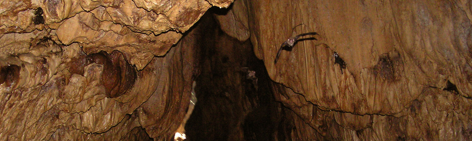 bayano caves tour